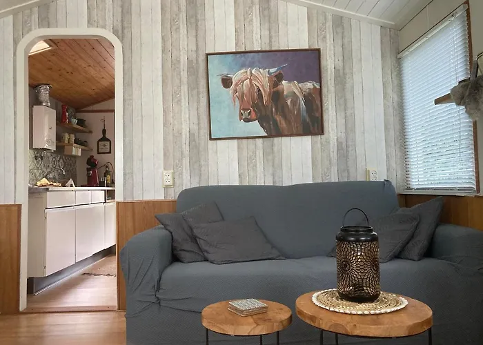 Mingo Hideout